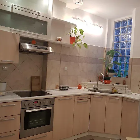 Center Iii Apartment Belgrade